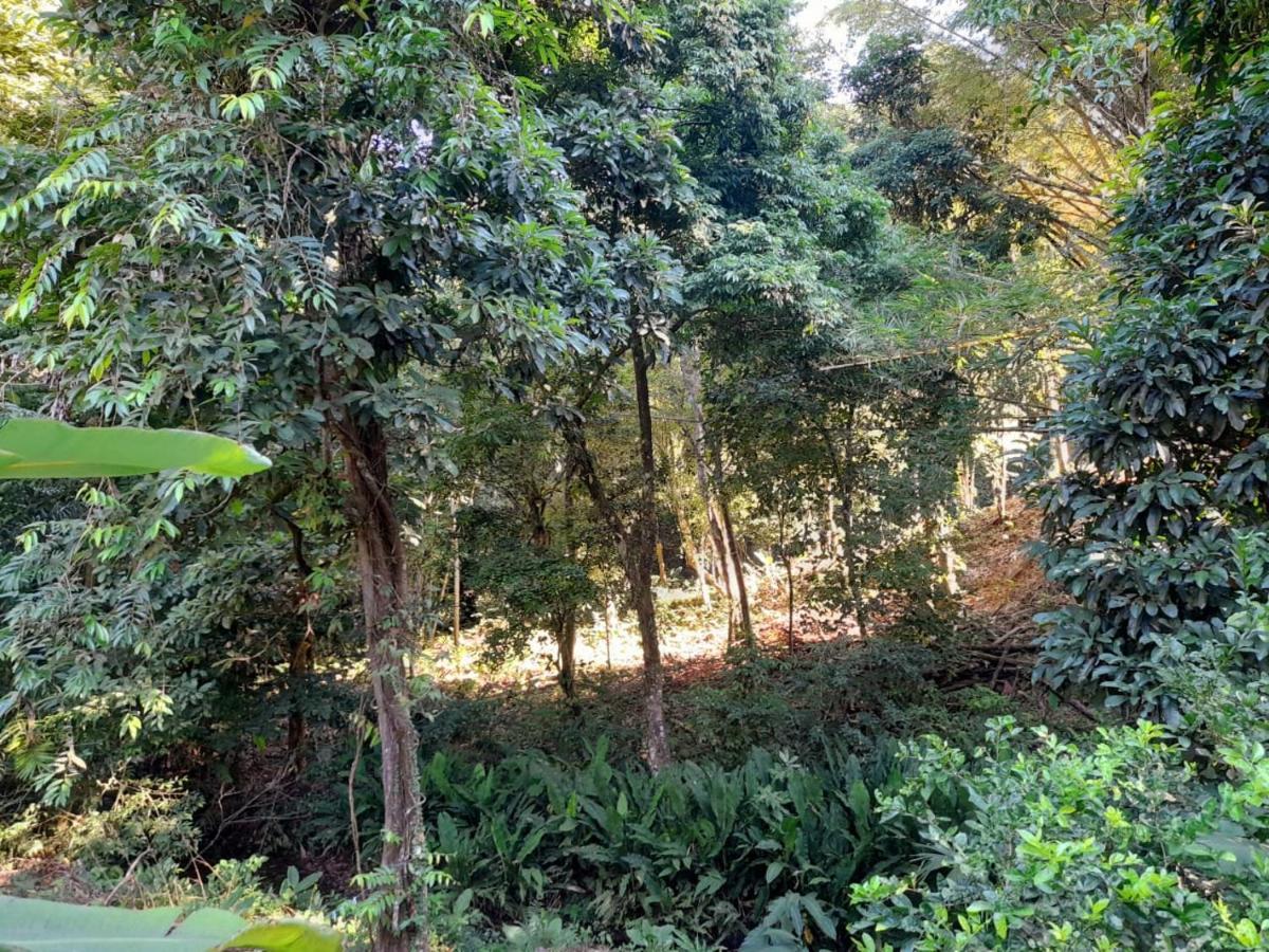 מנואל אנטוניו Casa Escondida Apartments מראה חיצוני תמונה